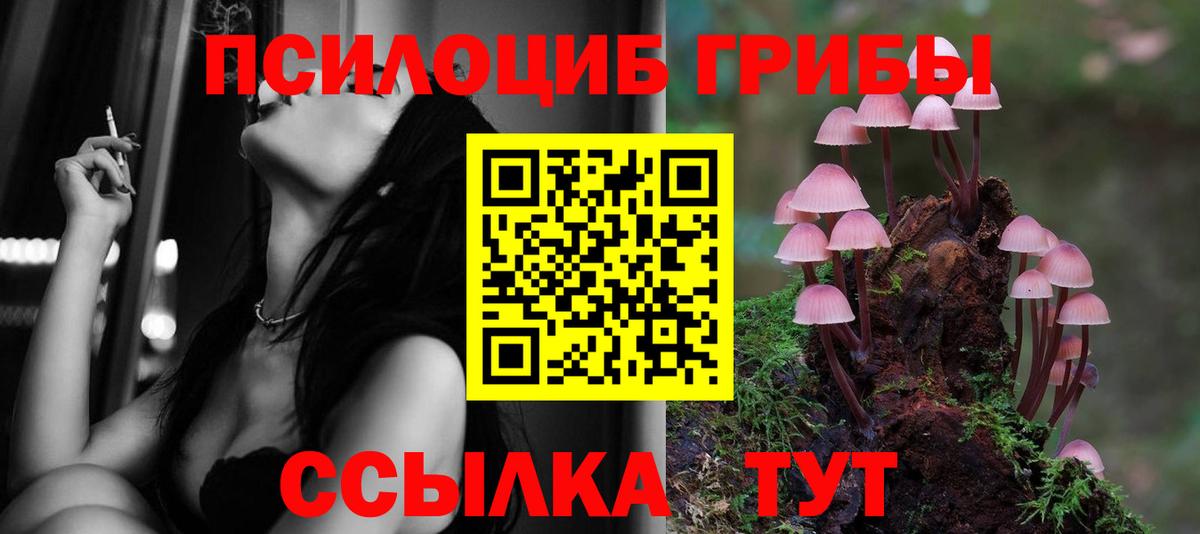 Псилоцибиновые грибы ЛСД  Вход с VPN  Волгодонск 